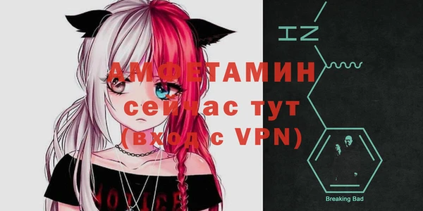 ГАЛЛЮЦИНОГЕННЫЕ ГРИБЫ Белокуриха