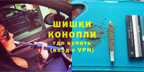 ГАЛЛЮЦИНОГЕННЫЕ ГРИБЫ Белокуриха