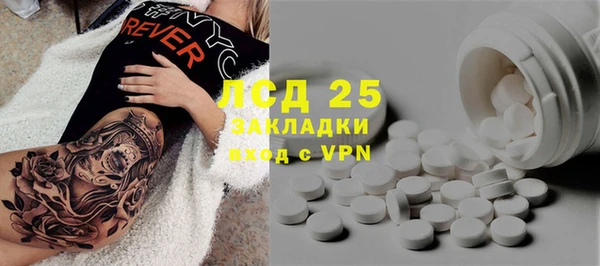 ГАЛЛЮЦИНОГЕННЫЕ ГРИБЫ Белокуриха