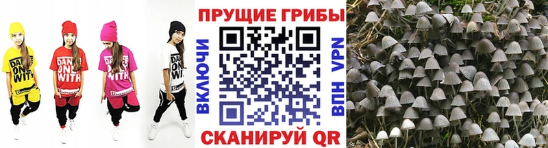 купить наркоту  blacksprut как войти  Галлюциногенные грибы MAGIC MUSHROOMS  Оха 